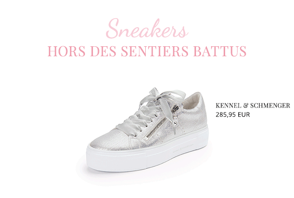 Les sneakers (39486677)