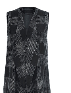 Le gilet (13803288)