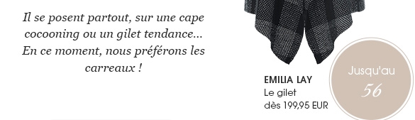 Le gilet (13803288)