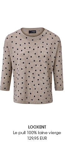 Le pull 100% laine vierge (84455888)