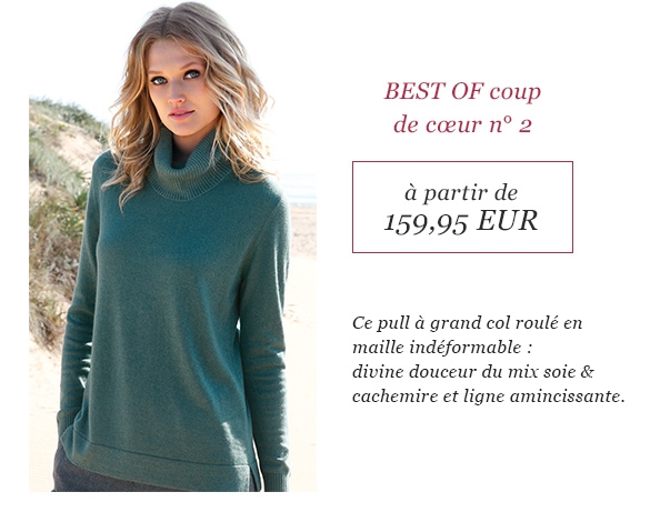 Le pull (89270688)