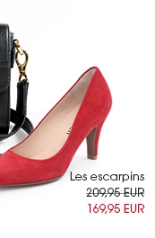 Les escarpins (38608977)