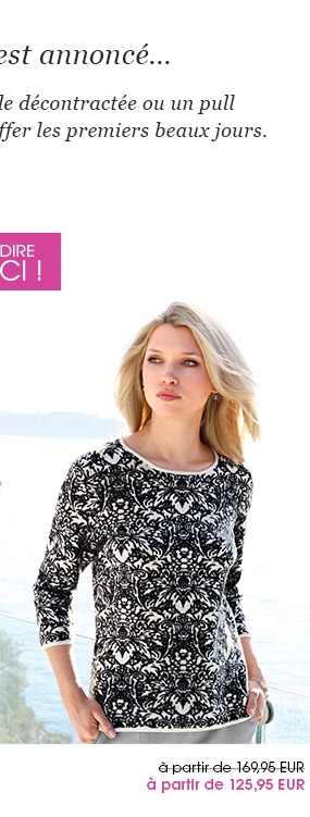Le pull (80534477)