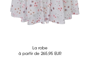 La robe (13891077)