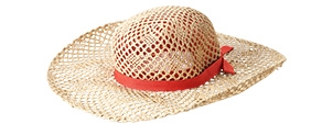 Le chapeau (39716977)